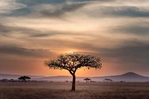 Africa